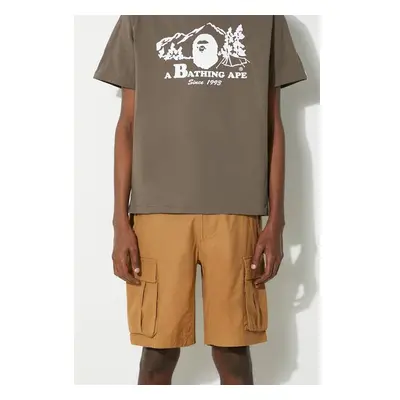 Bavlněné šortky The North Face M Anticline Cargo Short hnědá barva, 92094578