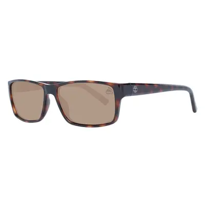 Timberland Sunglasses 99082916