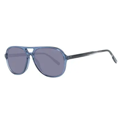 Hackett Sunglasses 99079742