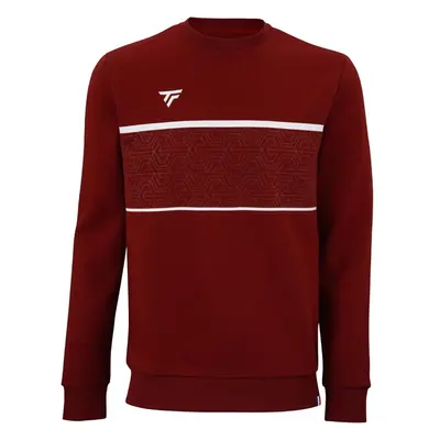 Pánská mikina Tecnifibre Club Sweater Cardinal M 91739780