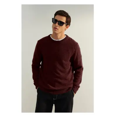 Trendyol Limited Edition Claret Red Mens Regular Woolen Crew Neck 99795720