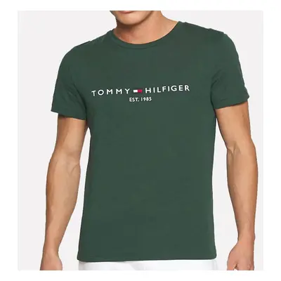 Pánské zelené triko Tommy Hilfiger 22354 84045996