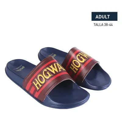 FLIP FLOPS POOL HARRY POTTER 99099872