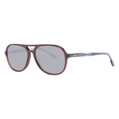 Hackett Sunglasses 99803504