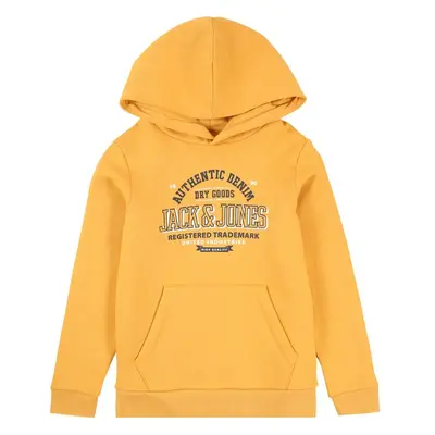 Jack & Jones Junior Mikina zlatě žlutá / fialkově modrá / bílá 96044846