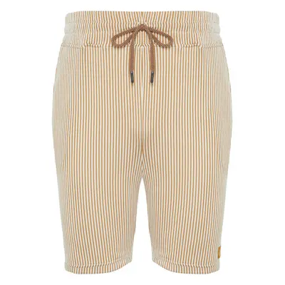 Trendyol Beige Striped Regular Cut Shorts 99791490