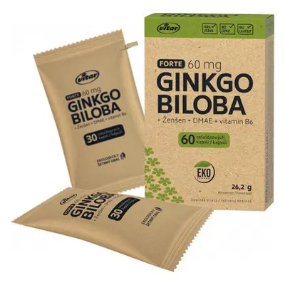 Vitar Ginkgo biloba 60mg+DMAE+vit.B6 EKO cps.60