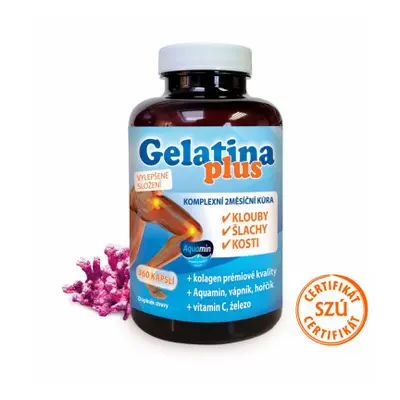 Gelatina Plus cps.360