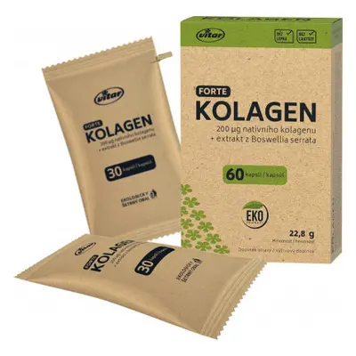 Vitar Kolagen EKO cps.60