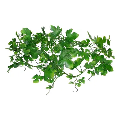 Lucky Reptile Jungle Vine Gape Leaf Vine cca 200 cm