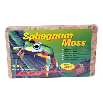 Lucky Reptile Sphagnum Moss - rašeliník 100g/5 l