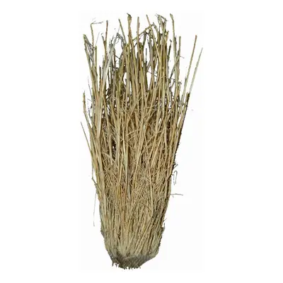 Lucky Reptile Grass Bushes 25-40 cm