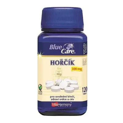 VitaHarmony Hořčík tbl.120x300mg