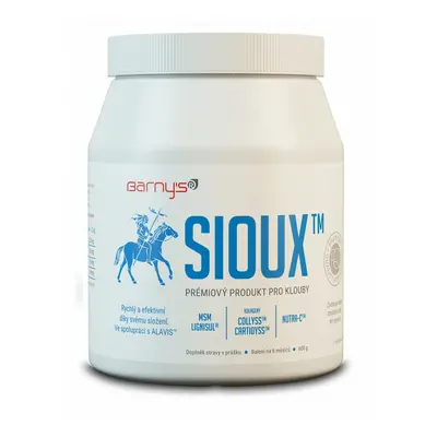 Barny's SIOUX 600g