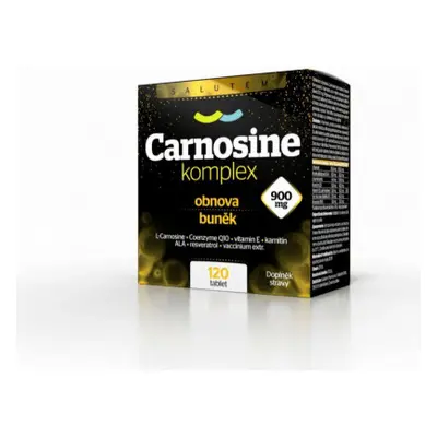 Carnosine komplex 900 mg SALUTEM tablet 120 ks