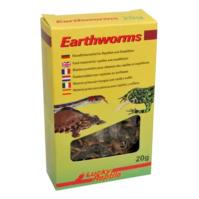 Lucky Reptile Earthworms 10g