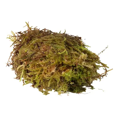 HabiStat Sphagnum Moss 1kg