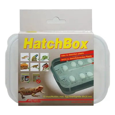 Lucky Reptile HatchBox 17x11 cm