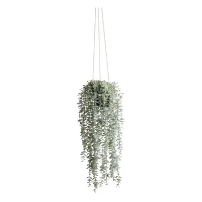 FLORISTA Eukalyptus převislý malý list 65 cm