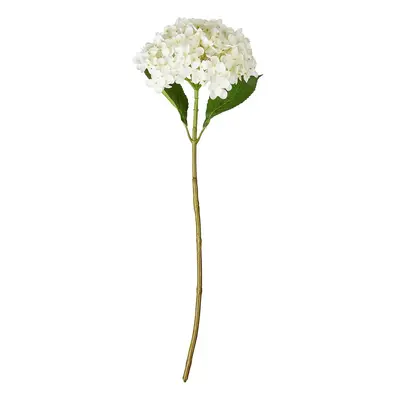 FLORISTA Hortenzie 63 cm - bílá