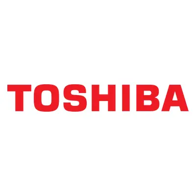 Toner Toshiba 6LH53489000 - Originál