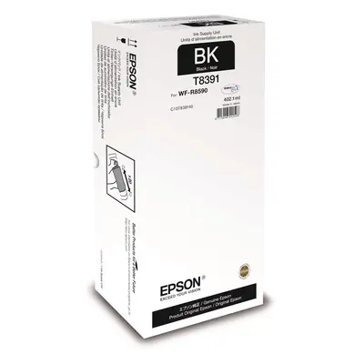 Zásobník Epson T8691 (Černý) (Recharge XXL pro A3) - Originál