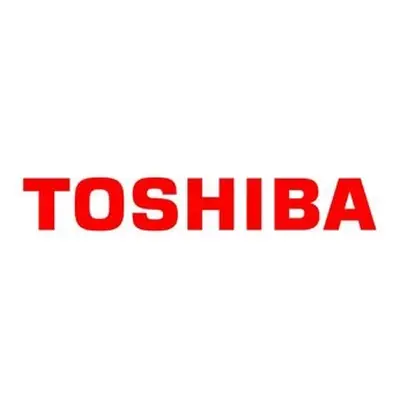 Toner Toshiba T-FC20EK (Černý) - Originál