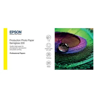 Epson S450376