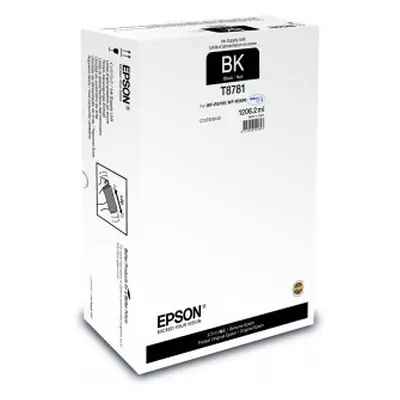 Zásobník Epson T8781 (Černý) (Recharge XXL pro A4) - Originál