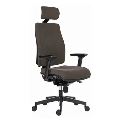 Powerton Kancelářské ergonomické křeslo Jana, Šedé