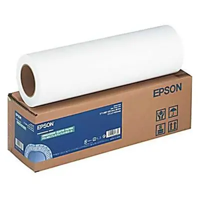 Epson S041392