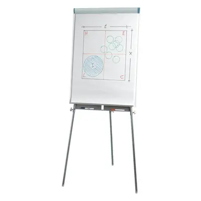 Flipchart Esselte, 70 x 100 cm