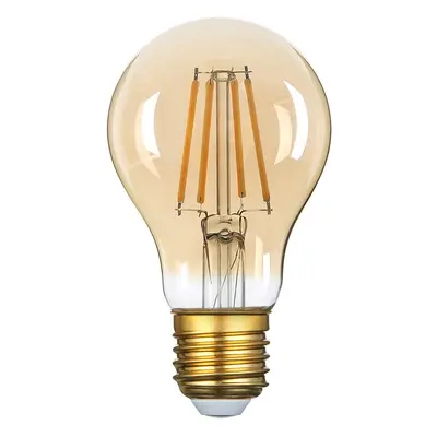 LED Žárovka E27 A60 Golden Glass 8W Teplá bílá