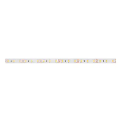 LED PÁSEK CW 24V 6W 8mm IP44 - 3015 studená bílá (kotouč 5m)