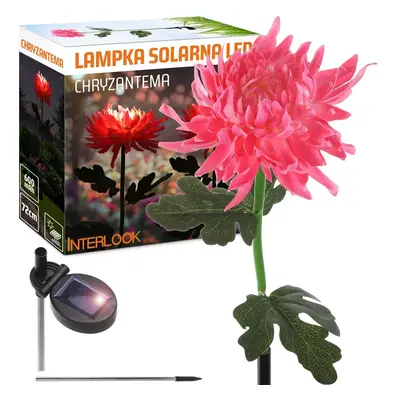 FLD-26-RUŽOVÁ | Zahradní solární lampa LED Chrysanthemum | 72 cm, 600 mAh