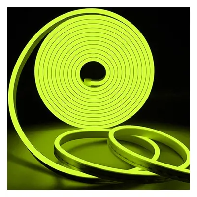 LED Neon Flex 12V 1m 6W/m IP65 Lemon