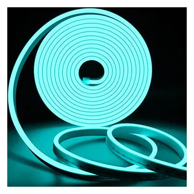 LED Neon Flex 12V 1m 6W/m IP65 Ice Blue