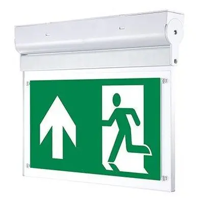 Nouzové LED přisazené svítidlo Emergency Exit Light 3W 3h