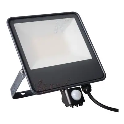 Kanlux 33888 IQ-LED FL-50W-NW-SE Reflektor LED s čidlem