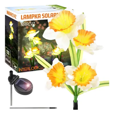 FLD-24 | Solární květina | Narcis narcis zahradní solární lampa LED | 67 cm, 600 mAh