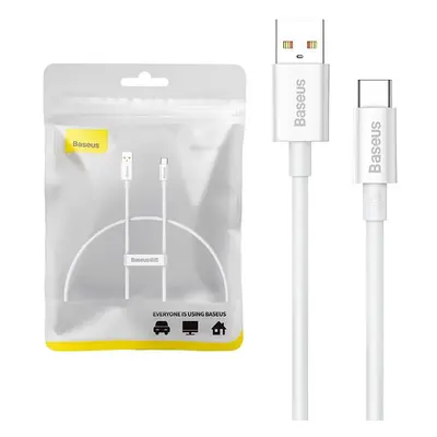 Baseus Superior 100W kabel USB na USB-C 0,25 m (bílý)