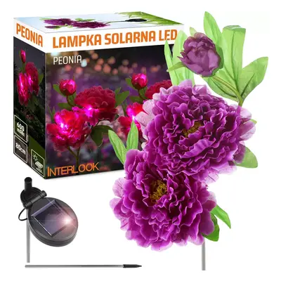 FLD-10-PURPLE | Solární zahradní lampa LED Pivoňka fialová | 80 cm, 600 mAh