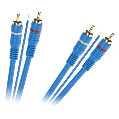 Kabel 2 x RCA - 2 x RCA + vodič 5 m