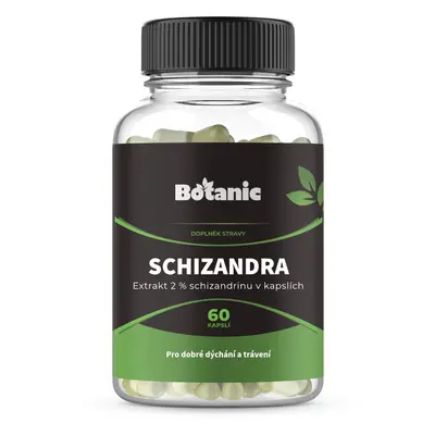 Schizandra čínská - Extrakt 2 % schizandrinu v kapslích (Balení obsahuje: 60kap.)