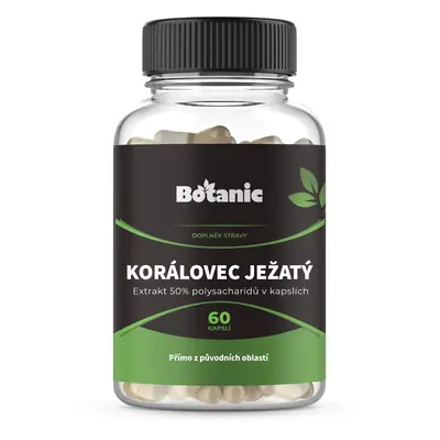 Korálovec ježatý - Extrakt 50% polysacharidů v kapslích (Balení obsahuje: 60kap.)