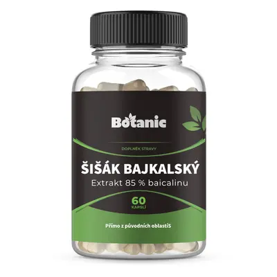 Šišák bajkalský - Extrakt 85 % baicalinu kapsle (Balení obsahuje: 60kap.)