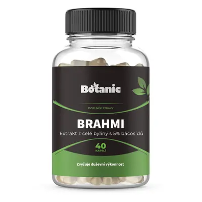 Brahmi - Extrakt z celé byliny s 5 % bacosidů v kapslích (Balení obsahuje: 40kap.)