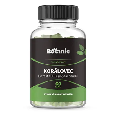 Korálovec ježatý - Extrakt 30 % polysacharidů v kapslích (Balení obsahuje: 60kap.)