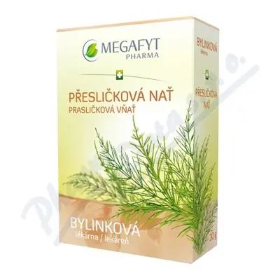 Megafyt Přesličková nať 30g