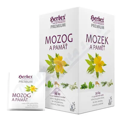 HERBEX Mozek a paměť n.s.20x1.5g